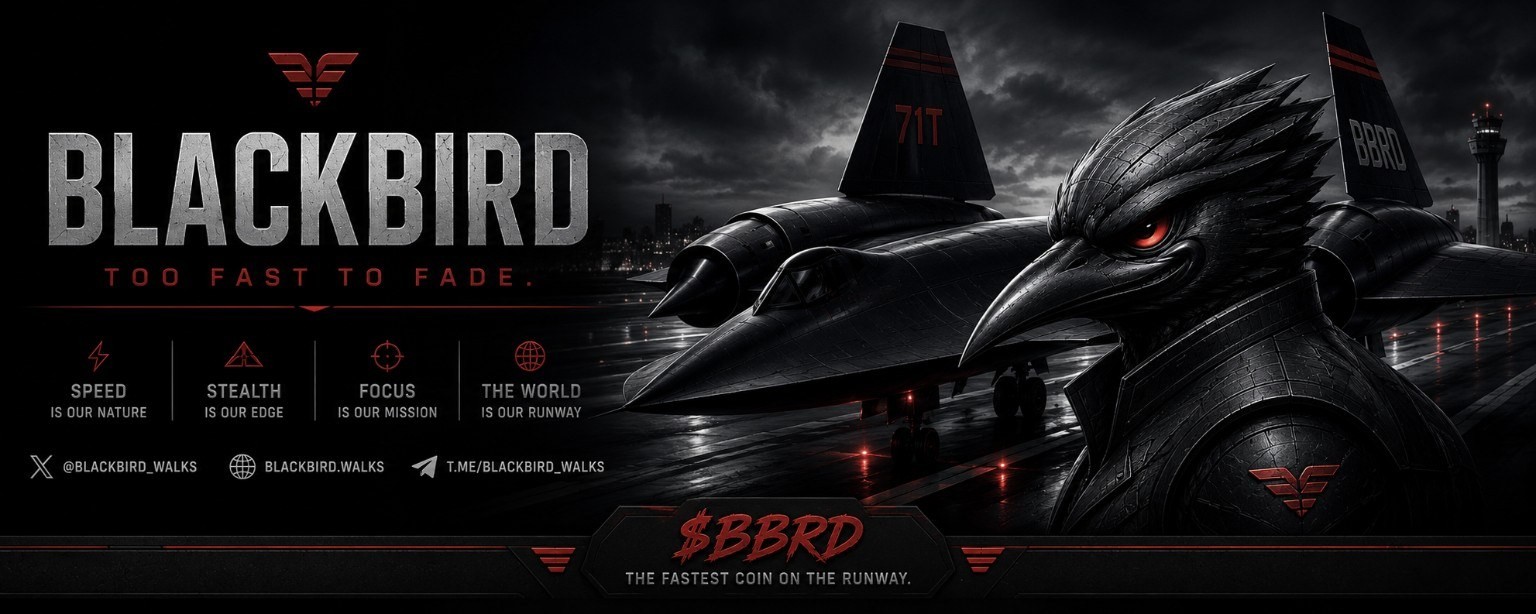 BlackBird mascot and black aircraft on a stormy runway